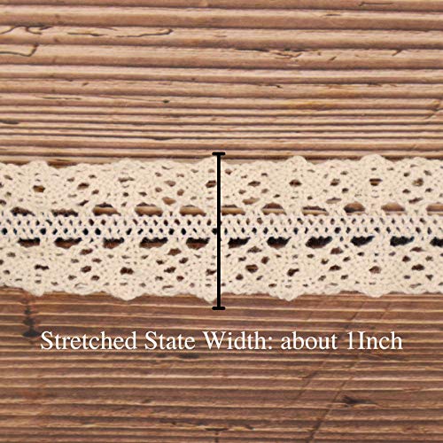 Stretch Lace Trim Elastic-Frilly Trim for Socks-Delicate Lace Ribbon for Craft-Gathered Crocheted Lace Trim DIY Craft Ribbon (5Yards Vintage Elastic lace Trim)