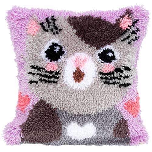 Beyond Your Thoughts Latch Hook Kits Shaggy Craft for DIY Throw Pillow Cover Sofa Cushion Cover Christmas Gift Owl/Dog/Cat/Bear/Bird with Pattern Printed 16X16 inch BZ983