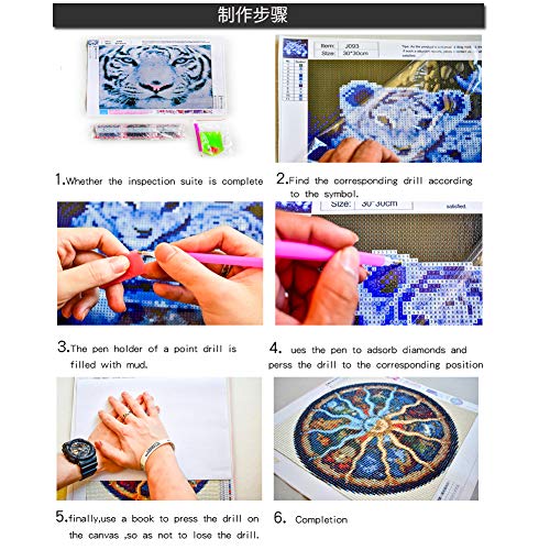 DIY 5D Diamond Painting Kit, 16"X12" Man Round Full Drill Crystal Rhinestone Embroidery Cross Stitch Arts Craft Canvas for Home Wall Decor Adults and Kids