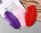 Hollosport 30 PCS Ostrich Feathers,Bulk Soft Natural Feathers for Crafts Centerpieces Party Wedding Home Decorations Dream Catchers Vases (Purple 10-12 Inch)