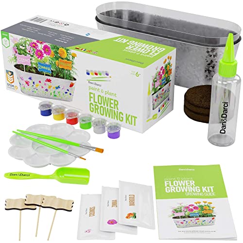 Dan&Darci Paint & Plant Flower Craft Kit for Kids - Best Birthday Crafts Gifts for Girls & Boys Age 5 6 7 8-12 Year Old Girl Children Gardening Kits, Art Projects Toys for Ages 5-12 Years