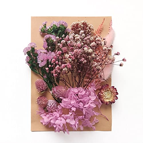 Lyra’s Natural Pressed Flowers Multiple Colorful Real Dried Flowers Decorative for Art Crafts DIY,Dry Flat Flowers Leaves for Resin Molds, Soap Candle Scrapbooking（Purple）