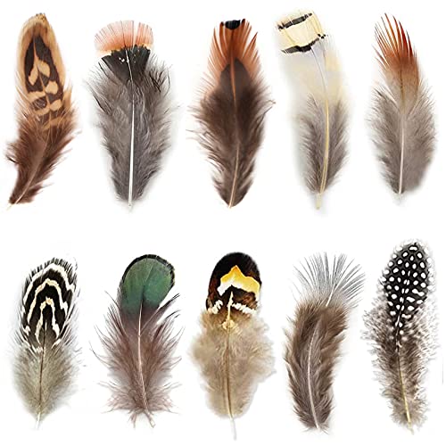 300pcs 10 Style Natural Feathers Assorted Mixed Feathers for Dream Catcher Crafts Decoration … (10 Styles/300 Pcs)