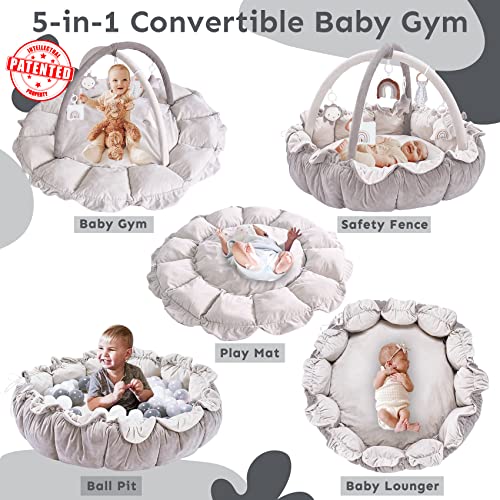 5-in-1 Thick & Plush Play Gym, Convertible Stage-Based Developmental Activity Gym & Play Mat from Baby to Toddler, Ball Pit, Pet Cushion, Balls are not Included