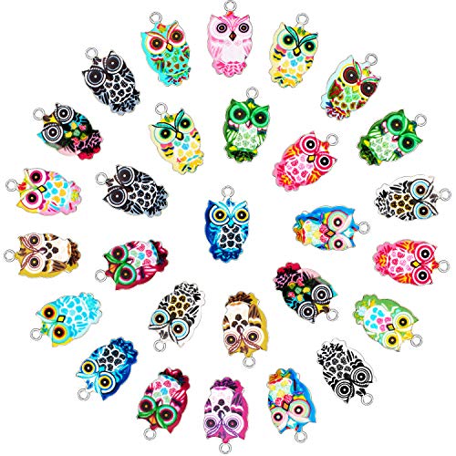 WILLBOND Colorful Owl Enamel Charms Pendant Mixed Owl DIY Charm Jewelry Making Crafting Accessories for Necklace Bracelet Earring, 18 Colors (36)