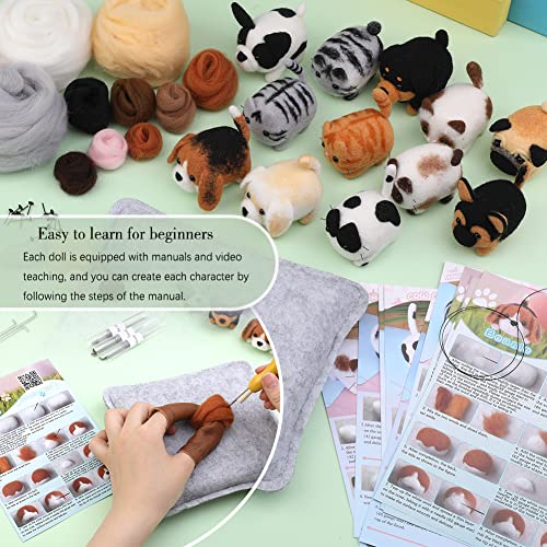 Needle Felting Kit,12 Pieces Doll Making Wool Needle Felting Starter Kit with Instruction,Felting Foam Mat and DIY Needle Felting Supply for DIY Craft Animal Home Decoration Birthday Gift