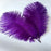 Sowder 14-16inch(35-40cm) Ostrich Feathers Plume for Wedding Centerpieces Home Decoration Pack of 10pcs(Purple)