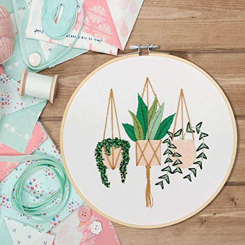 Full Range of Embroidery Starter Kit with Pattern, Kissbuty Cross Stitch Kit Including Embroidery Fabric with Plant Pattern, Bamboo Embroidery Hoop, Color Threads and Tools Kit (Epipremnum Aureum)