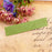 10Pcs Flower Leaf Star Plastic Embossing Folder DIY Craft Template Molds Stamp Stencils Scrapbook Paper Cards Photo Album Making Tool Embossing Folders Handmade Art Craft Supplies Decorating Mold