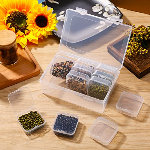 Clear Plastic Storage Cases Small Beads Organizer Container Transparent Boxes with Hinged Lid for Small Items with Hinged Lid and Rectangle Clear Craft Supply Cases (39 Pieces)