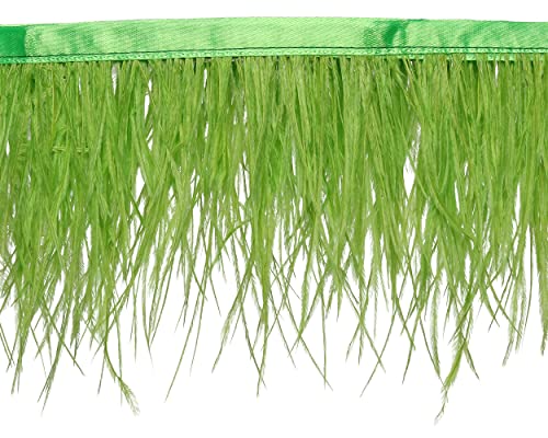 Ostrich Feathers Sewing Fringe Trim Ribbon for Crafts Clothes Accessories Latin Wedding Dress DIY 2-5 Yards 3-4inch Width (5 Yards, Fluorescence Green)