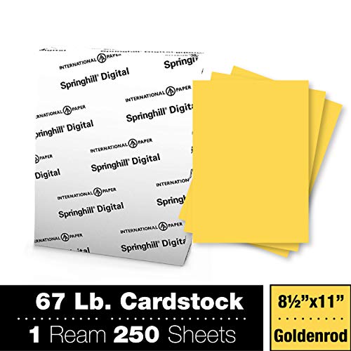 Springhill 8.5” x 11” Goldenrod Yellow Colored Cardstock Paper, 67lb Vellum Bristol, 147gsm, 250 Sheets (1 Ream) – Premium Lightweight Cardstock, Vellum Printer Paper with Textured Finish – 086008R