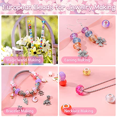 Assortment European Large Hole Spacer Beads,Fairy Garden Beads Rhinestone Craft Beads for DIY Charms Bracelet Jewelry Making (12 Style)