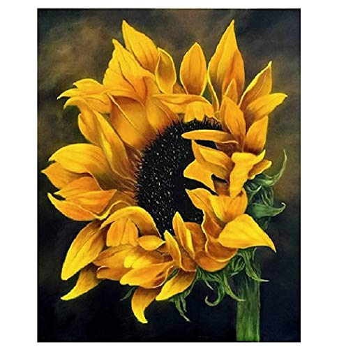 ACANDYL Paint by Number Sunflower DIY Painting Paint by Number Kit for Kids Adults DIY Canvas Painting by Numbers Acrylic Painting Arts Craft Decoration Paint by Number Sunflower 16x20