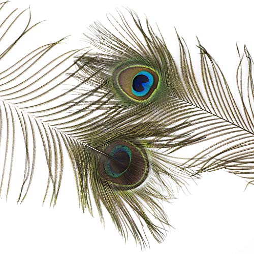 Natural Long Peacock Eye Feathers - 40-45" 10pc Wedding Home Decoration DIY Craft