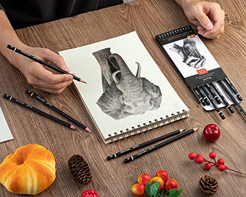Brusarth Sketch Pencils for Drawing Set - 12 Pieces Drawing Sketching Pencil (14B - 4H), Graphite Pencils for Drawing, Sketching, Shading, Artist Pencils for Beginners & Pro Artists
