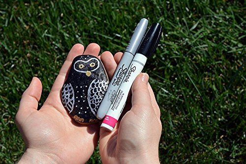 SHARPIE Oil-Based Paint Marker, Fine Point, Black, 1 Count - Great for Rock Painting
