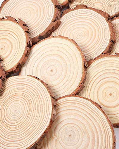 Pllieay 10Pcs 5.5-6 Inch Wood Slices, Unfinished Natural Craft Wooden Circles Tree Slice for DIY Crafts Wedding Decorations Holidays Ornaments Arts Wood Slices