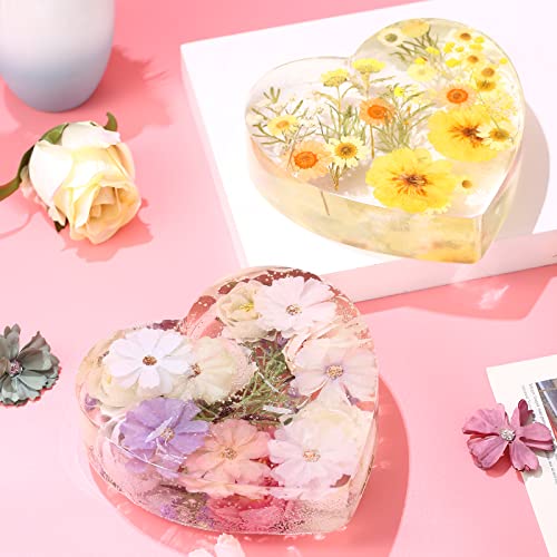 5Pack Large Silicone Molds for Resin Glossy Deep Square Molds Hexagon Silicone Molds Heart Bookends Resin Mold with 3 Pcs Round Epoxy Resin Molds for Flowers Preservation DIY Art Making Home Decor