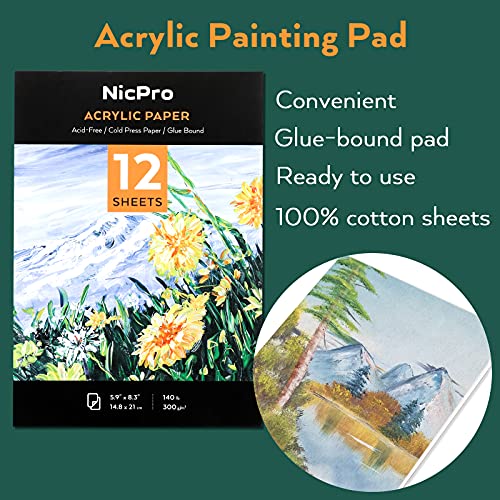 Nicpro Acrylic Paint Set, Kid Art Painting Kit Include 2 Set of Acrylic Paint (12 Colors), 30pcs Paint Brushes,5 Canvas Panel,Wood Easel,3pcs Tray,A5 Paper Pad Color Wheel for Beginner Student Artists