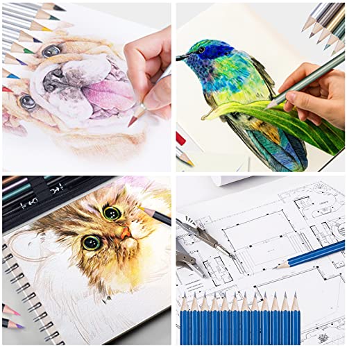 Tioucd 73 Pcs Drawing Kit Professional Art Supplies Drawing Set with  Graphite Charcoal Colored Watercolor Metallic Pencils Sketchbook for Drawing  Arts Set for Adults Teens Artists Beginners