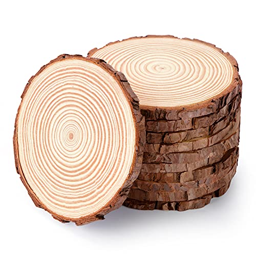 Pllieay 10Pcs 5.5-6 Inch Wood Slices, Unfinished Natural Craft Wooden Circles Tree Slice for DIY Crafts Wedding Decorations Holidays Ornaments Arts Wood Slices