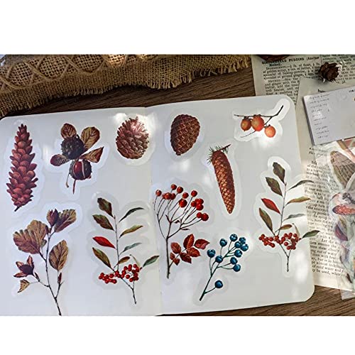ZMLSED Vintage Natural Stickers, 40Pcs Fall Fruit Decorative Retro Decals Adhesive Watercolor Aesthetic Trendy for Scrapbook Laptop Skins Album DIY Craft Daily Planner