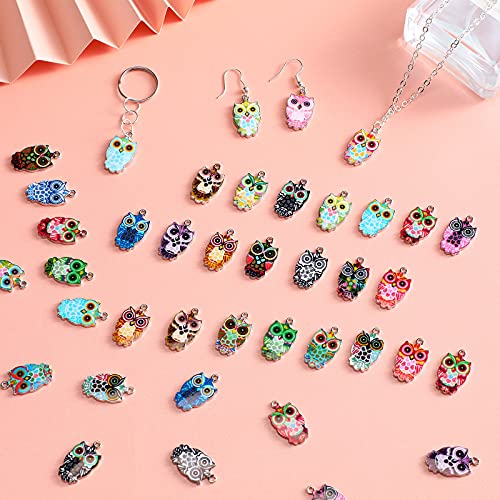 62 Pieces Halloween Owl Enamel Charms for Jewelry Making Colorful Owl Charms Pendant DIY Owl Charms Jewelry Crafting Accessories for Earrings Necklaces Bracelets, 31 Colors