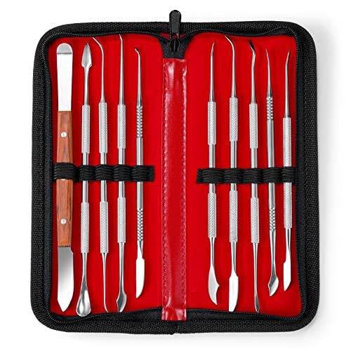 10 PCS Wax Carving Tools Dental Waxing Instruments with Case, Stainless Steel Wax Carvers Set - Metal Clay Sculpting Pottery Sculpture Tools - Double Ended DIY Waxing Modeling Kits