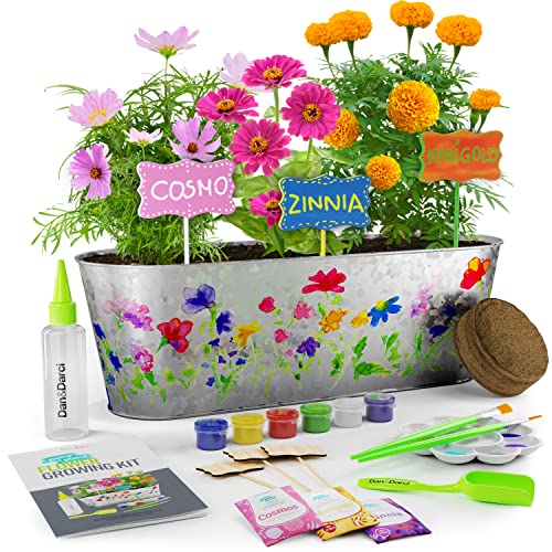Dan&Darci Paint & Plant Flower Craft Kit for Kids - Best Birthday Crafts Gifts for Girls & Boys Age 5 6 7 8-12 Year Old Girl Children Gardening Kits, Art Projects Toys for Ages 5-12 Years
