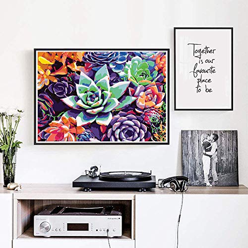 eniref Paint by Numbers for Adults, Drawing On Canvas Paintwork with Paintbrushes Acrylic Paints,Without Frame DIY Succulent Plants Oil Painting for Home Wall Decoration16x20 Inch