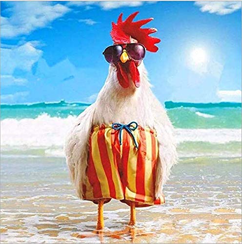 Cock Diamond Painting by Numbers - MaiYiYi 5D Full Round Diamond Painting Beach Chicken Diamond Painting Cross Stitch Kit Funny Chicken Diamond Painting Set for Adult Kids Wall Art Decor (30X30 CM)