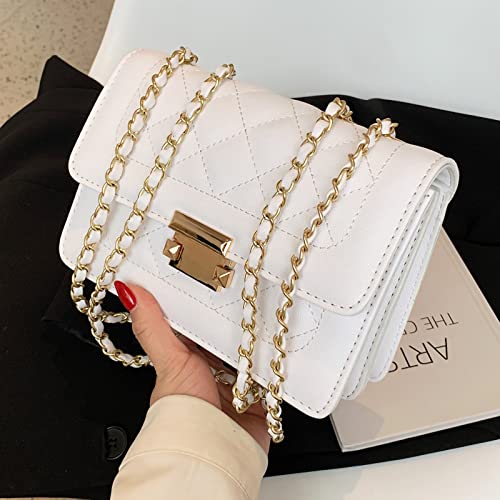 WOLAIYE Shoulder Bag Strap Metal Leather Handbag Chain Women Replacement (White)