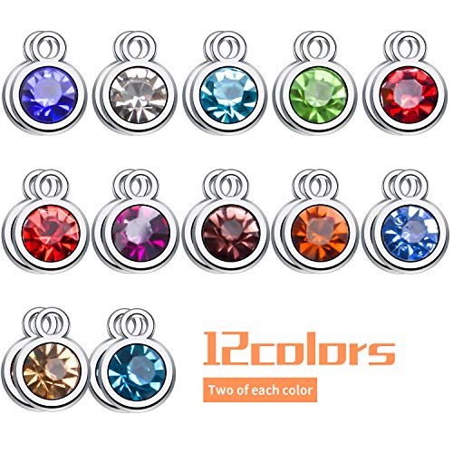 Crystal Charms,48pcs Birthstone Charms Crystal Pendant Charms 12 Months Birth Charms for Necklace Bracelet Earring DIY