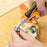 iNGCO 5pcs Mini Plier Set, Including 4.5 Inch Combination Pliers, Diagonal Cutting pliers, Long Nose Pliers, Flat Nose Pliers, End Cutting Pliers HMPS01115