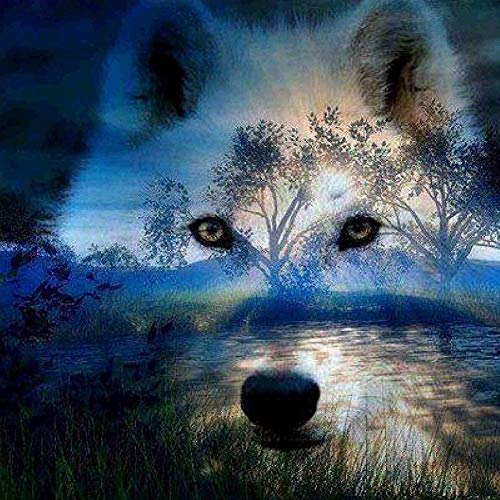 Diamond Painting Kits for Adults 5D DIY Round Diamond Number Kits – Crystal Rhinestone Diamond Embroidery Paintings Great for Home, Office, Wall Decor 13.8×13.8 inch Wolf