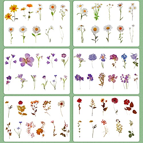 120 Pieces Cute Retro Floral Stickers Set PET Transparent Flower Stickers Decorative Assorted Decal Vintage Craft Sticker Colorful Small Flower Sticker for Scrapbooking Journaling DIY (Artsy Style)