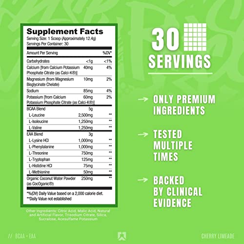 Ryse Core Series BCAA+EAA | Recover, Hydrate, and Build | with 5g Branched Chain Aminos and 3g Essential Aminos | 30 Servings (Cherry Limeade)