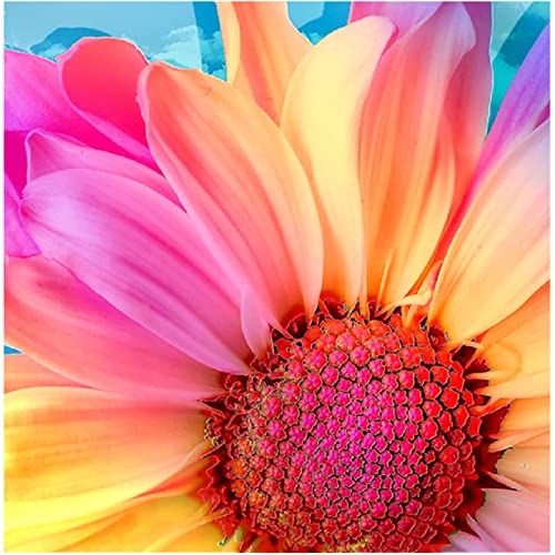 KTHOFCY 5D DIY Diamond Painting Kits for Adults Kids Gerbera Flower Full Drill Embroidery Cross Stitch Crystal Rhinestone Paintings Pictures Arts Wall Decor Painting Dots Kits 11.8X11.8 in