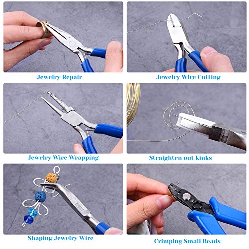 Jewelry Pliers, Shynek 6pcs Jewelry Making Pliers Tools with Needle Nose Pliers/Chain Nose Pliers, Round Nose Pliers, Nylon Jaw Pliers, Wire Cutter, Bent Nose Pliers and Crimping Pliers