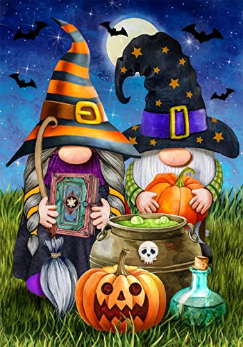NAIMOER Halloween Diamond Painting Kits for Adults, Gnomes Diamond Painting Kits Pumpkin Diamond Pianitng Full Drill Gnomes Diamond Art Kits Picture Arts Craft for Home Wall Art Decor 11.8x15.8 inch