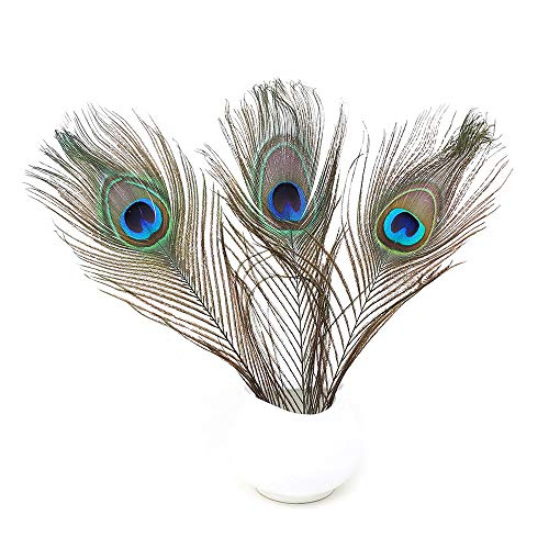 60 PCS Real Natural Peacock Eye Feathers 10-12 inch for DIY Craft, Wedding and Holiday Decorations