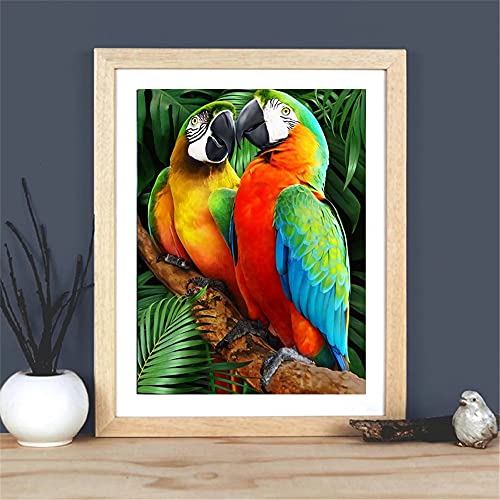 Huacan Parrot Diamond Painting Kits, Full Drill Square Diamond Painting Kits for Adults, Diamond Art Home Wall Decor 11.8x15.7in/30x40cm