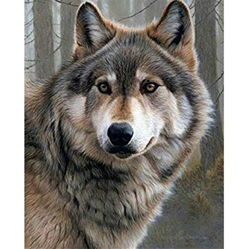 DIY 5D Diamond Painting by Number Kit for Adult, Full Drill Crystal Rhinestone Embroidery Cross Stitch Diamond Embroidery Dotz Kit Home Wall Decor 15.8×11.8 Inch (Wolf)