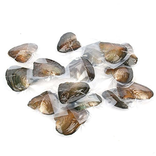 4PCS Freshwater Cultured Pearl Oyster with Round Pearls Inside 4 Colors (6.5-7.5mm) Jewelry Making or Birthday Gifts