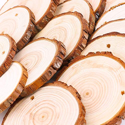 Unfinished Natural Wood Slices 20 Pcs 3.5-4 Inch Wood Coaster Sets Pieces Craft Wood kit Predrilled with Hole Wooden Circles Great for Arts and Crafts Christmas Ornaments DIY Crafts Rustic Wedding