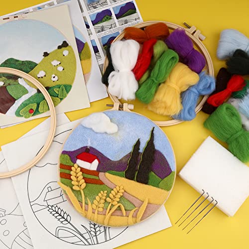 Needle Felting Kits Beginners, DIY Wool Needle Felting Starter Kit, Needle Felt Set with Picture Frame, Foam Pad, Felt Cloth and Instructions, Used for Home Decoration, Beginner, Art Craft(2 Sets)