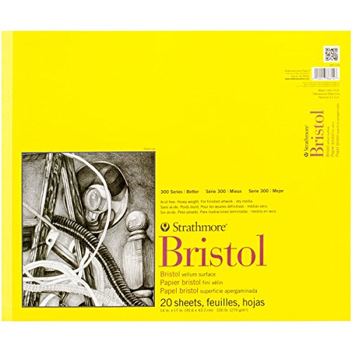 Strathmore Bristol Vellum Paper Pad 14"X17"-20 Sheets -342114