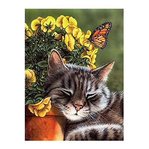 KEOOID Flowers Diamond Painting Kits for Adults Kids Beginners Round Full Drill Cat and Butterfly Gem Art with Diamonds 5D DIY Home Wall Decor Gifts (11.8 x 15.7 inch), Clear