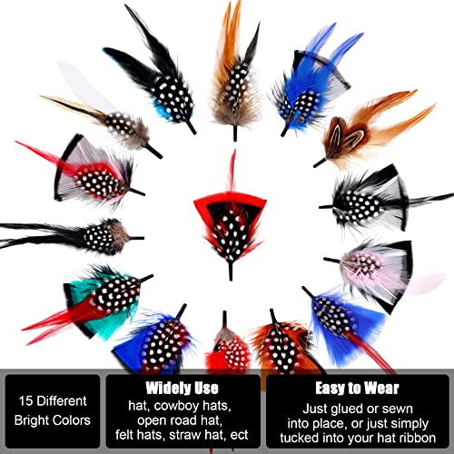 15 Pcs Hat Feathers Assorted Natural Feather for Fedora Hats Colorful Real Feathers Accessories for Women Men Party Decorations